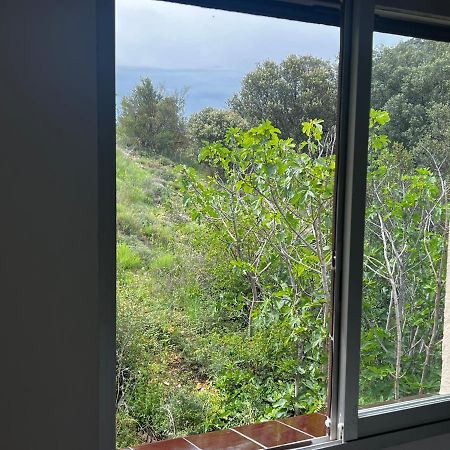 Apartaments La Pertusa 2O Corca  Buitenkant foto