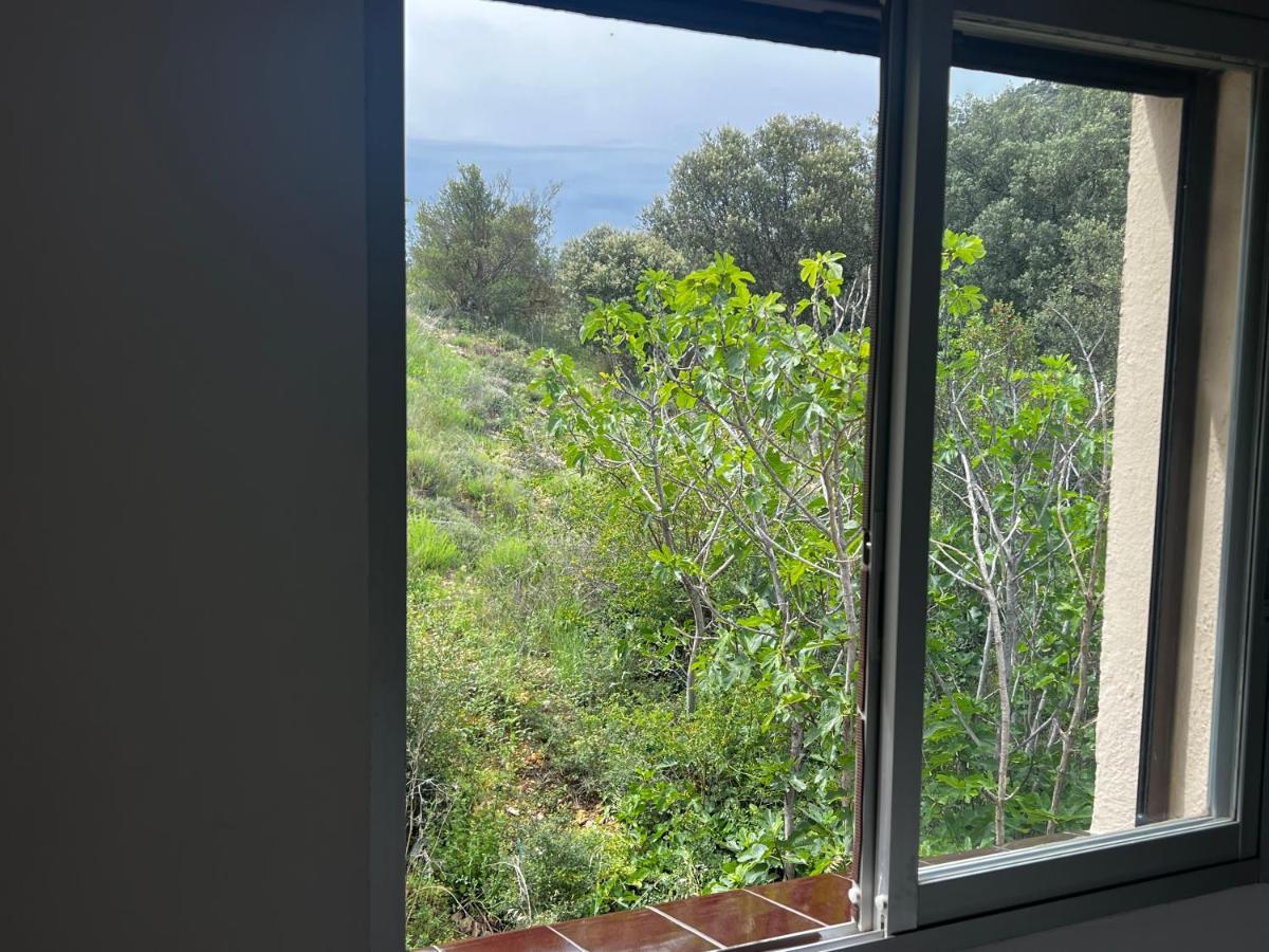 Apartaments La Pertusa 2O Corca  Buitenkant foto